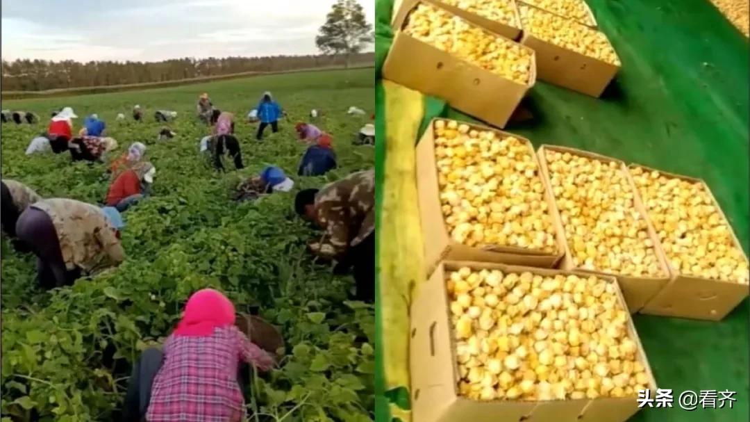 鍏虫敞鍐滀笟鍐滄潙淇冭繘鍐滄皯澧炴敹,鍏虫敞鍐滀笟鏀寔鍐滄皯