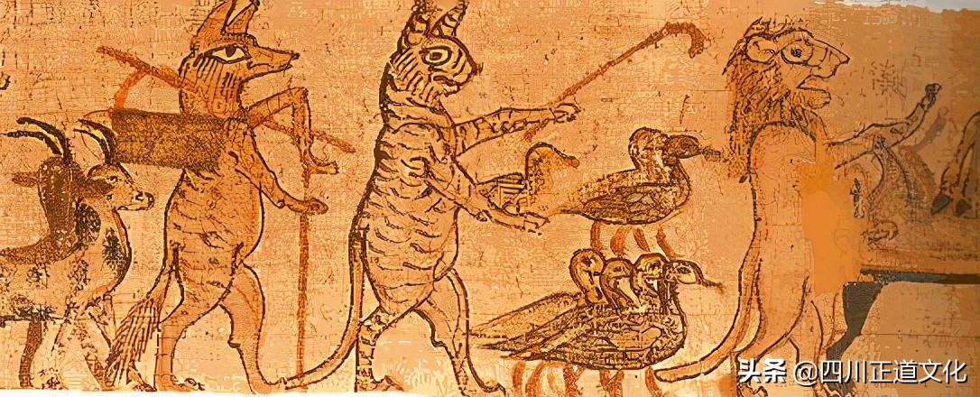 猫的故事高清图片,盘点猫的曾经故事