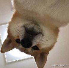 创世神模拟器2.0版本下载2022年,创世神模拟器怎么进入现代