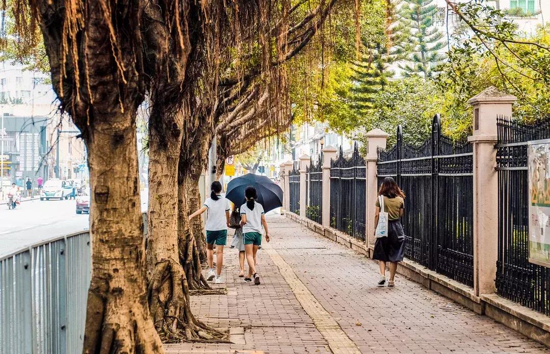 附近莲塘,附近的莲塘