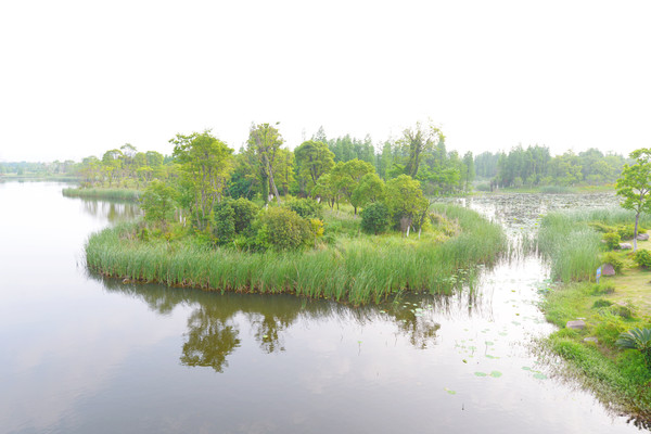 南昌动物园哪里有大象,南昌大象公园