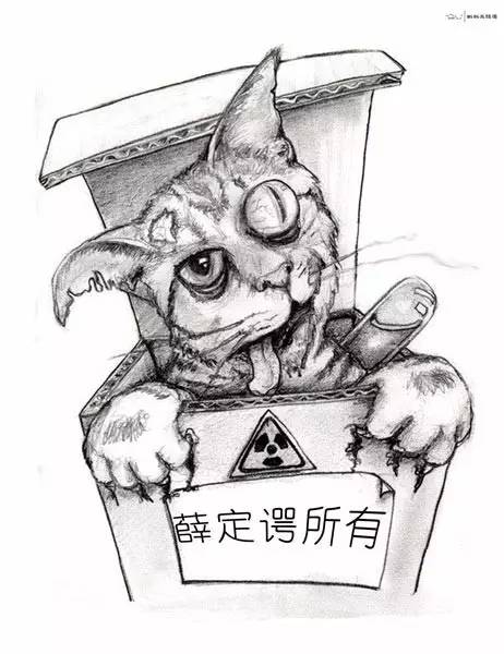 深入浅出讲解薛定谔的猫,关于薛定谔的猫的故事