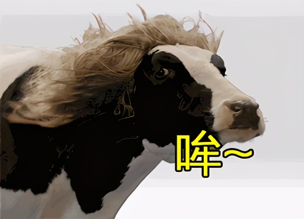 疫情之下进口奶粉还安全吗,疫情之下国外代购安全吗