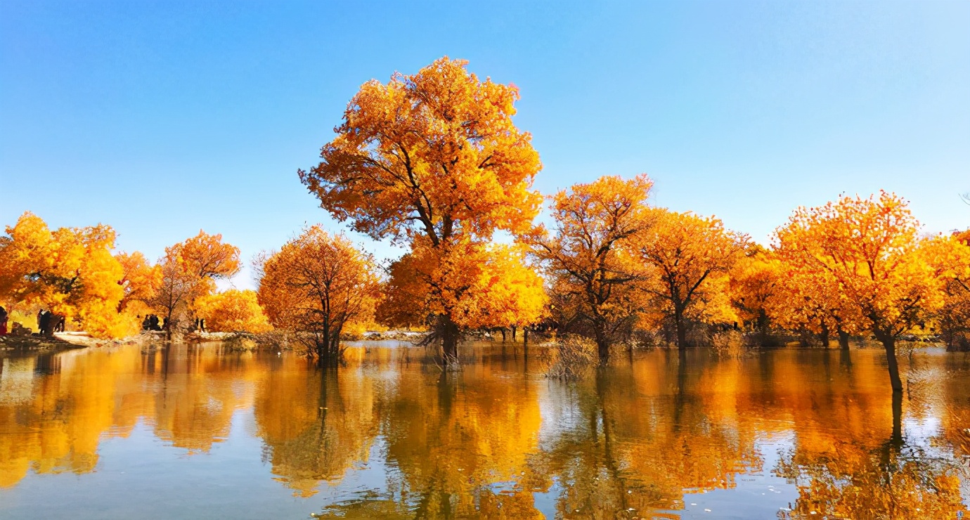 甘青大环线和小环线的区别,用一句话总结甘青环线旅游线路