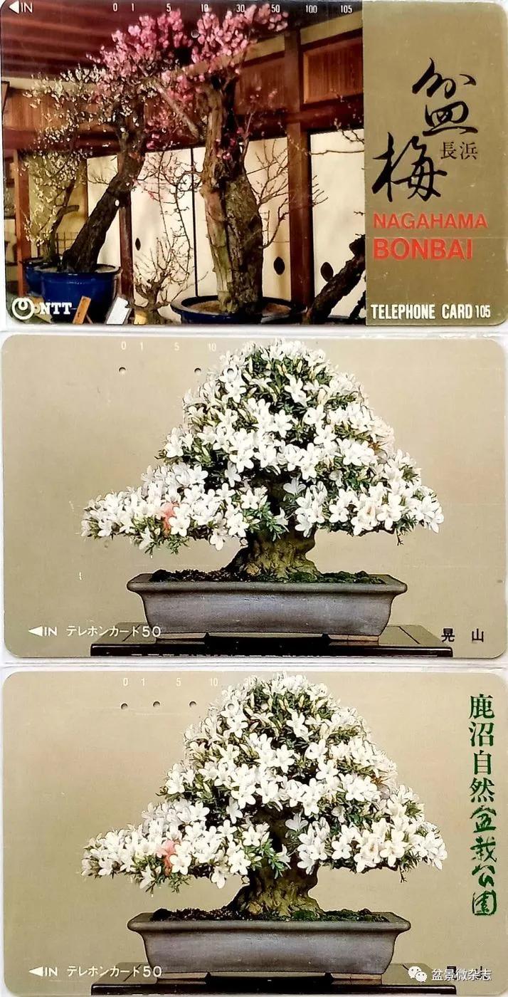 鐩嗘櫙鑱旂郴鐢佃瘽,鐩嗘櫙鑱旂郴鐢佃瘽鍙风爜