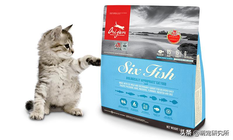 养猫必看的猫粮品牌,口碑最好的十大成猫猫粮