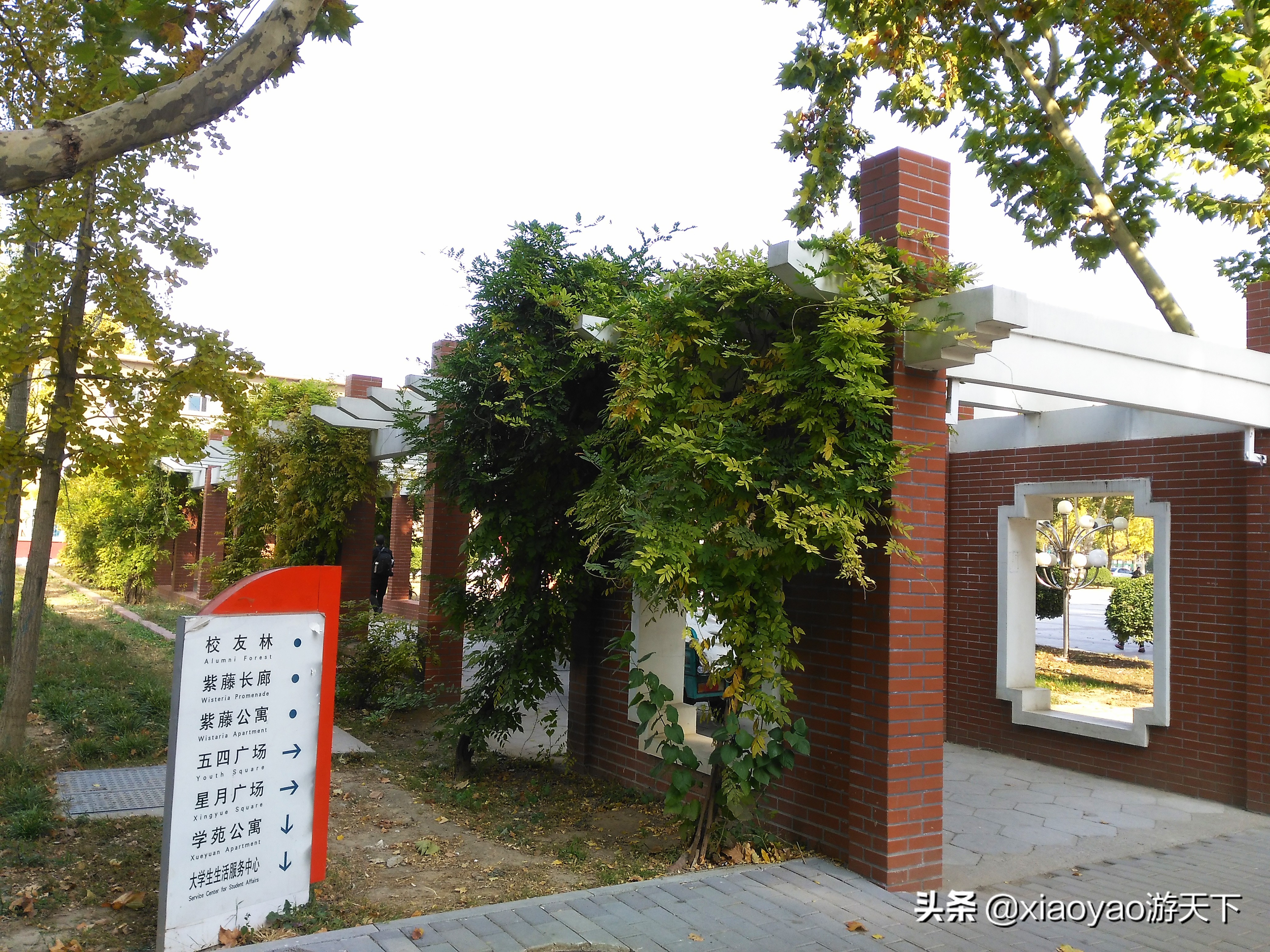 最美大学之旅——江北水城第一学府聊城大学