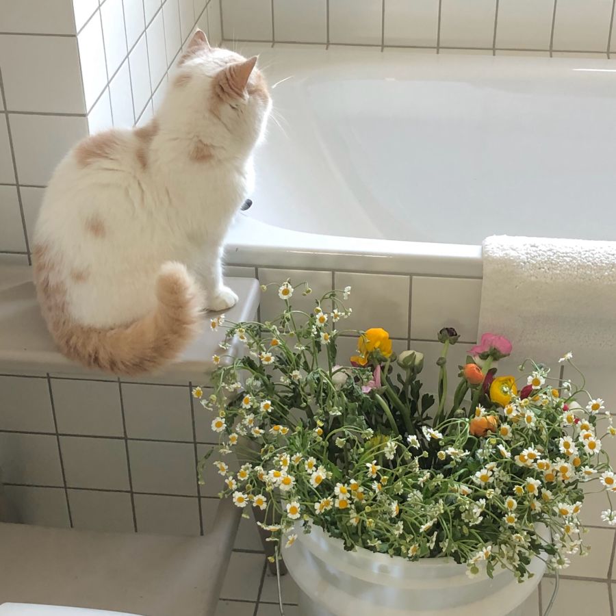 话要说给有回应的人听,话要说给能听得懂的人听