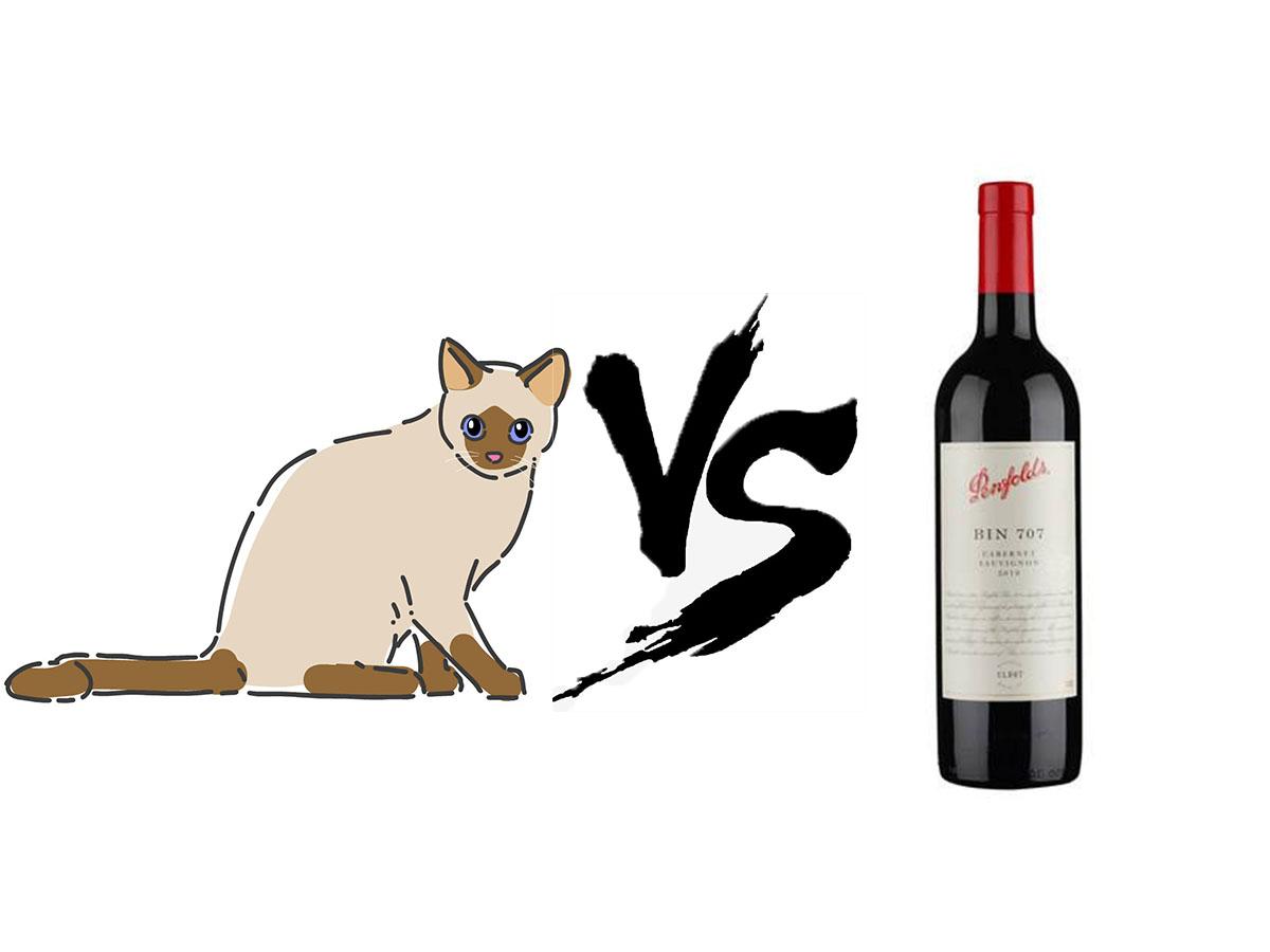 鍚哥尗璁╀汉涓嶈兘鑷嫈,鍚哥尗涓婄樉鐨勯摬灞庡畼