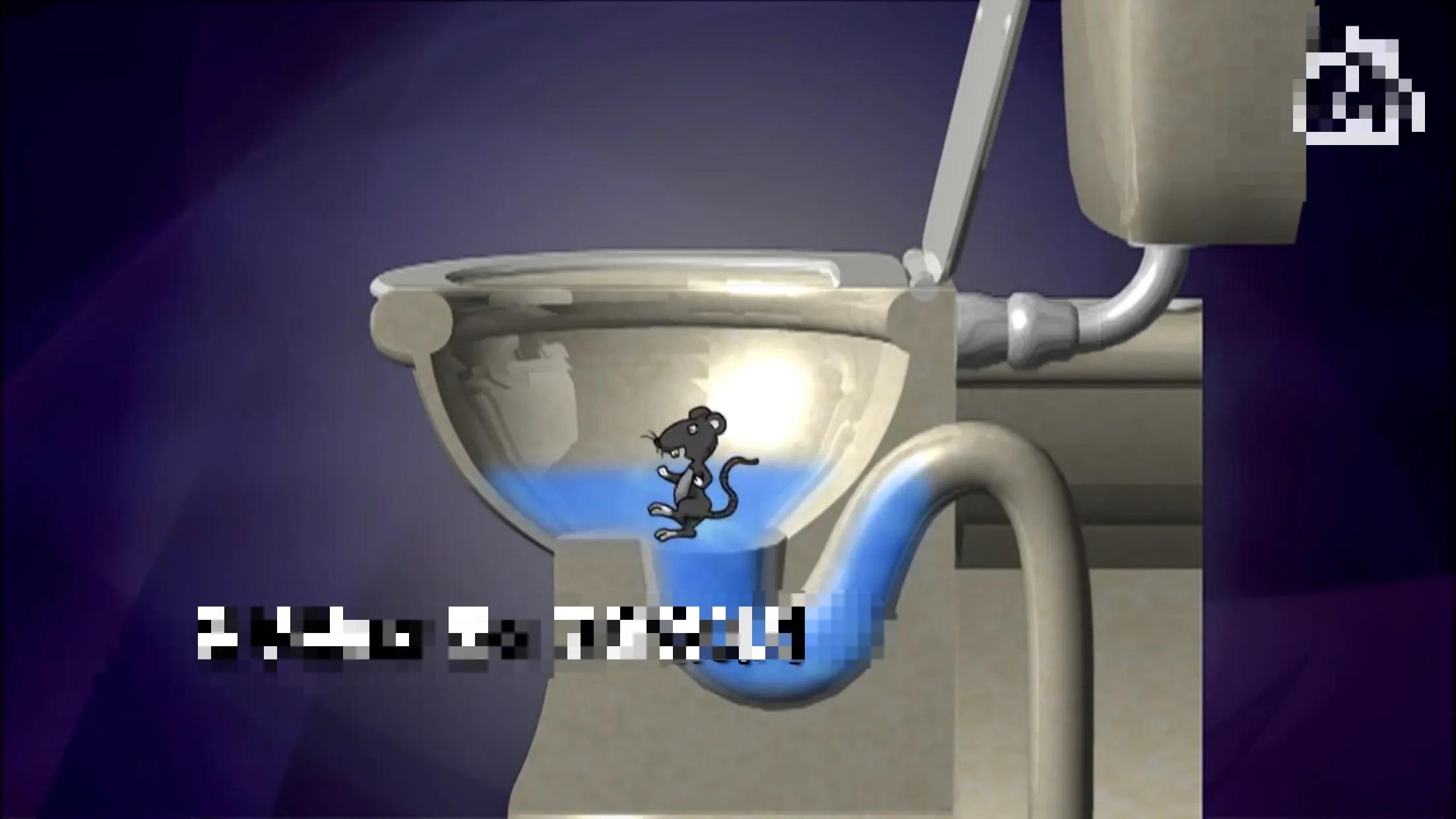 马桶下水道里有老鼠怎么办,老鼠真的能从马桶进入你家里吗