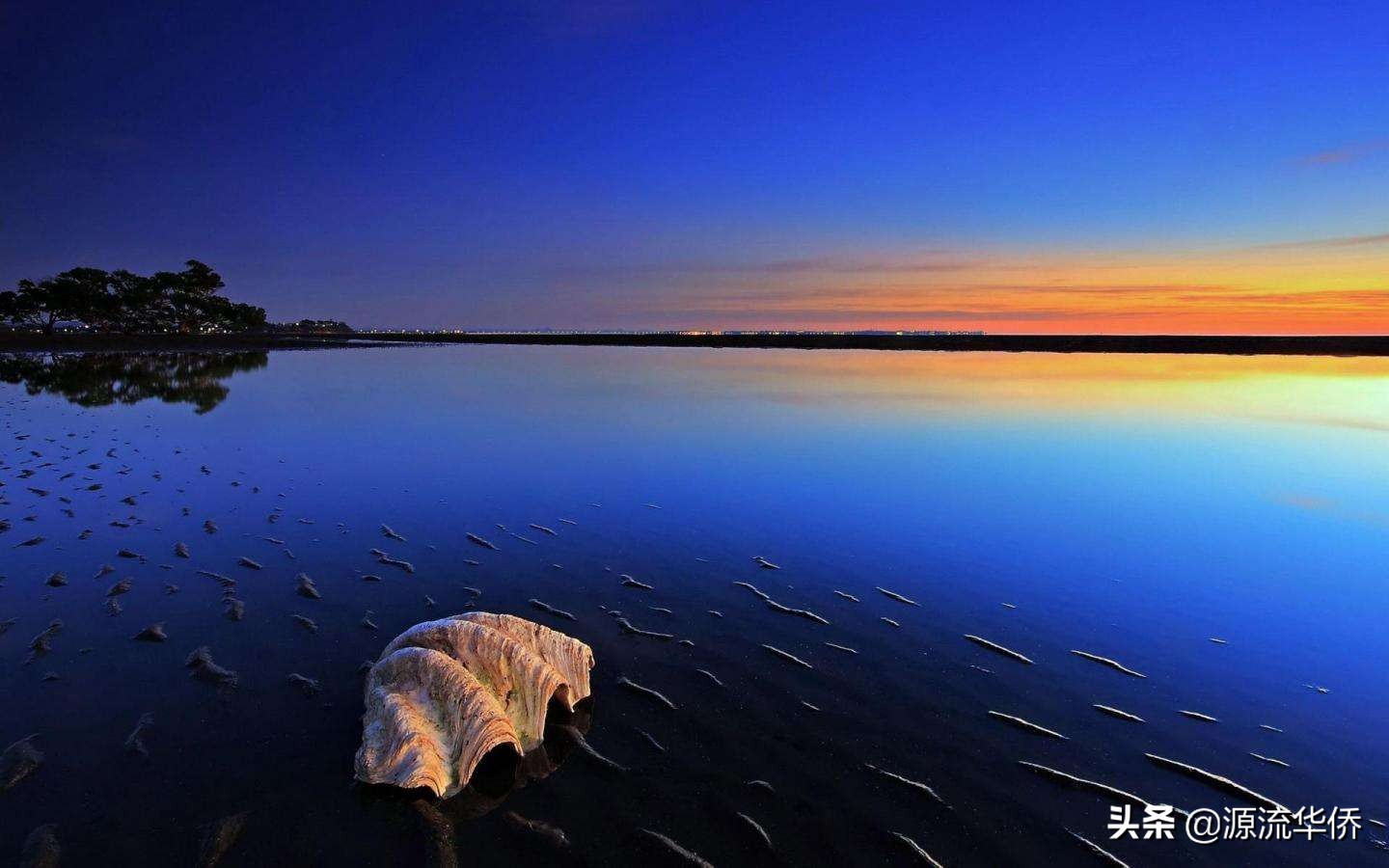 人生哲理讽刺讨厌的人,富有人生哲理的句子赏析