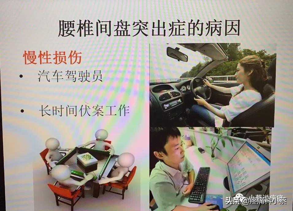 蔡主任讲座视频,蔡主任团队