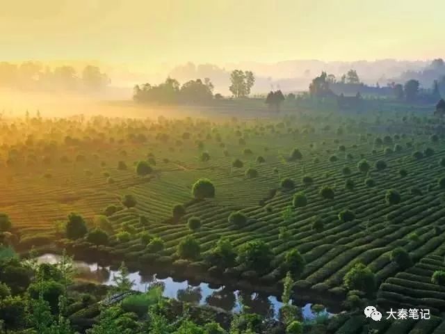 茶旅之路,茶旅最佳治愈方案