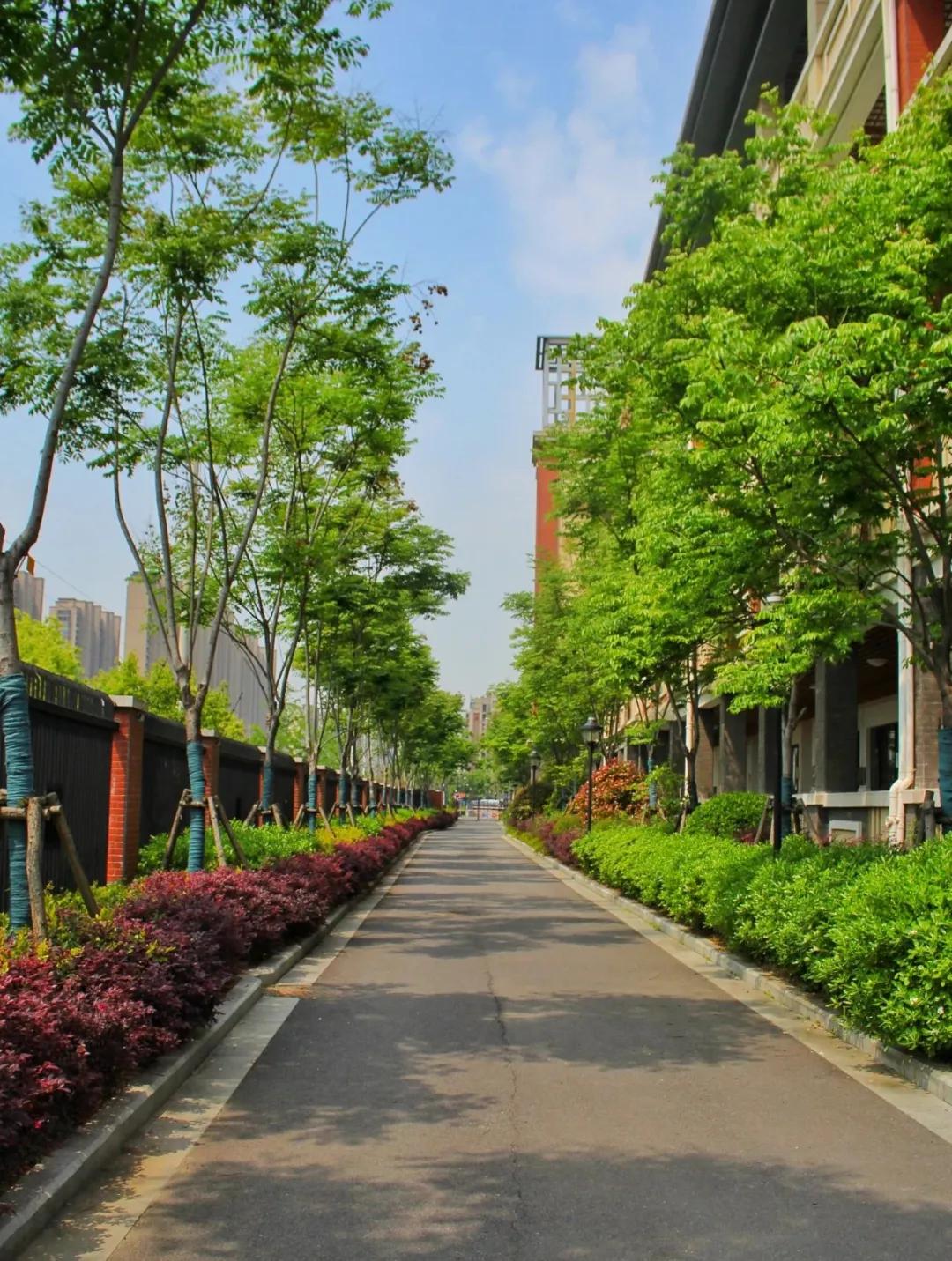 金陵小学和南师附小哪个好一些,金陵小学仙林湖校区一学期学费