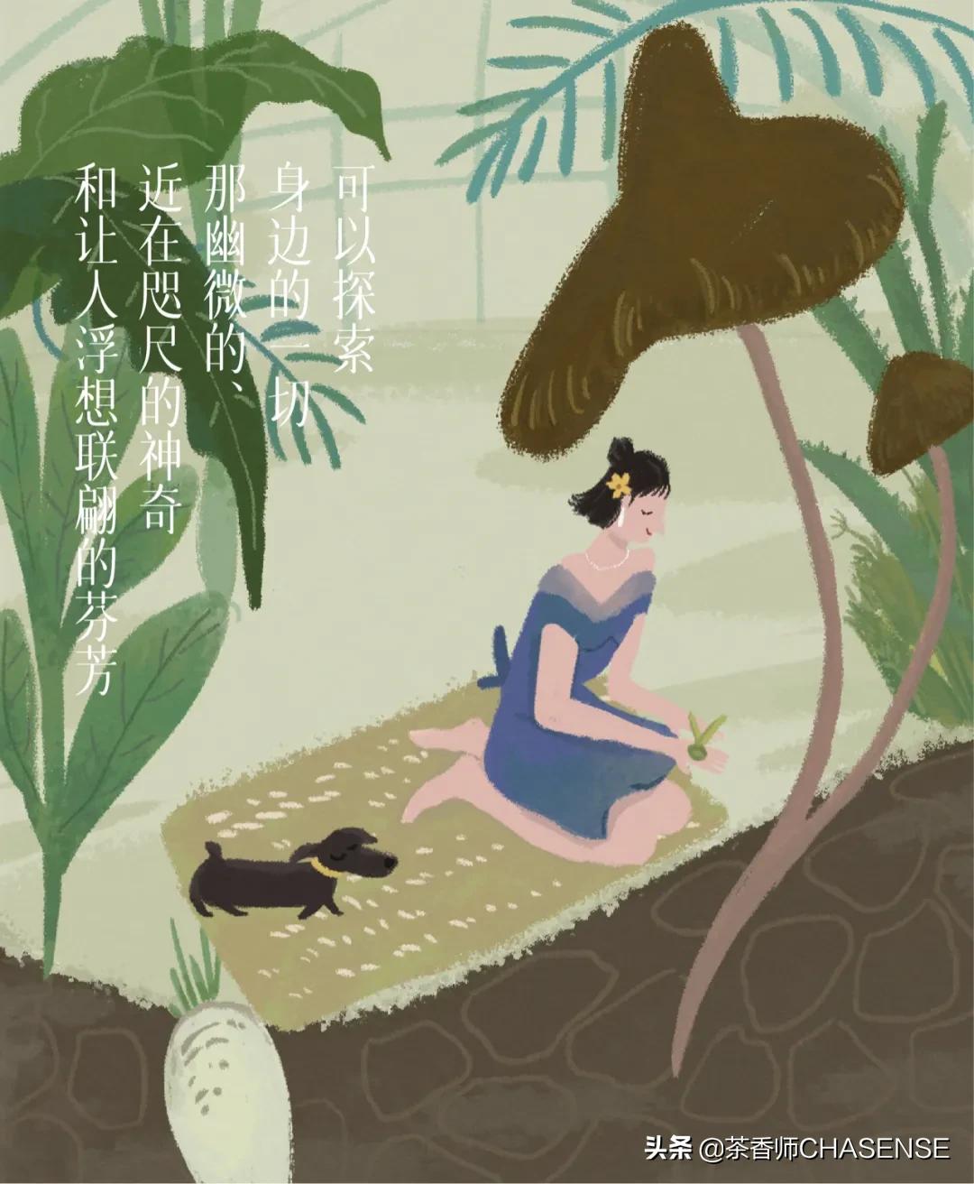 茶香师早春之茶香水 (茶香师香水小样礼盒)