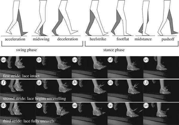 如何教孩子快速系鞋带,怎样教孩子系鞋带又快又好还不松