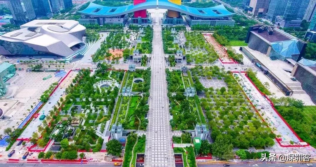 不在深圳的这七天，你水土不服了吗？