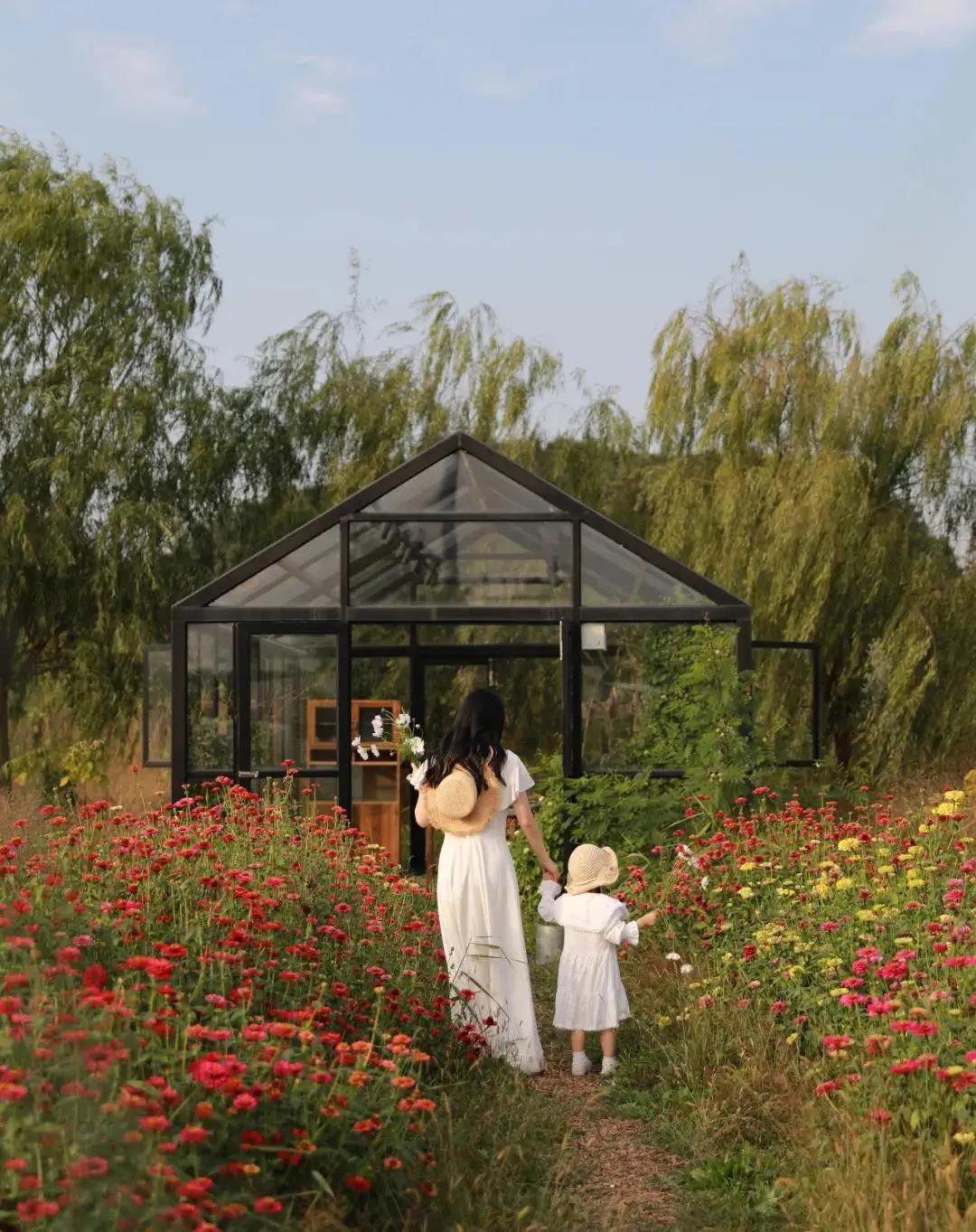 最会说情话的人全集,最会说情话的人