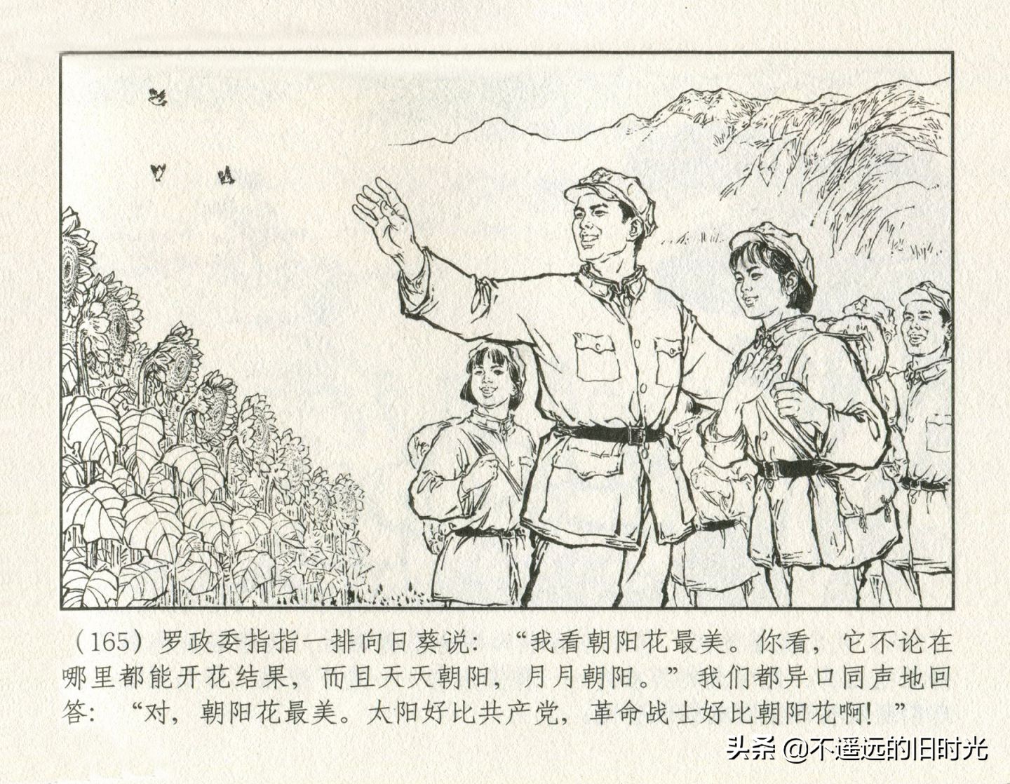 朝阳花-上海人民美术出版社1981初版2016再版陆成法陆小弟绘