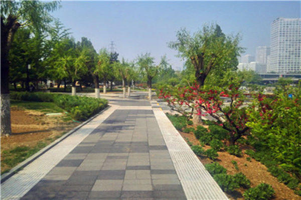 通惠河庆丰公园,通惠河畔湿地公园