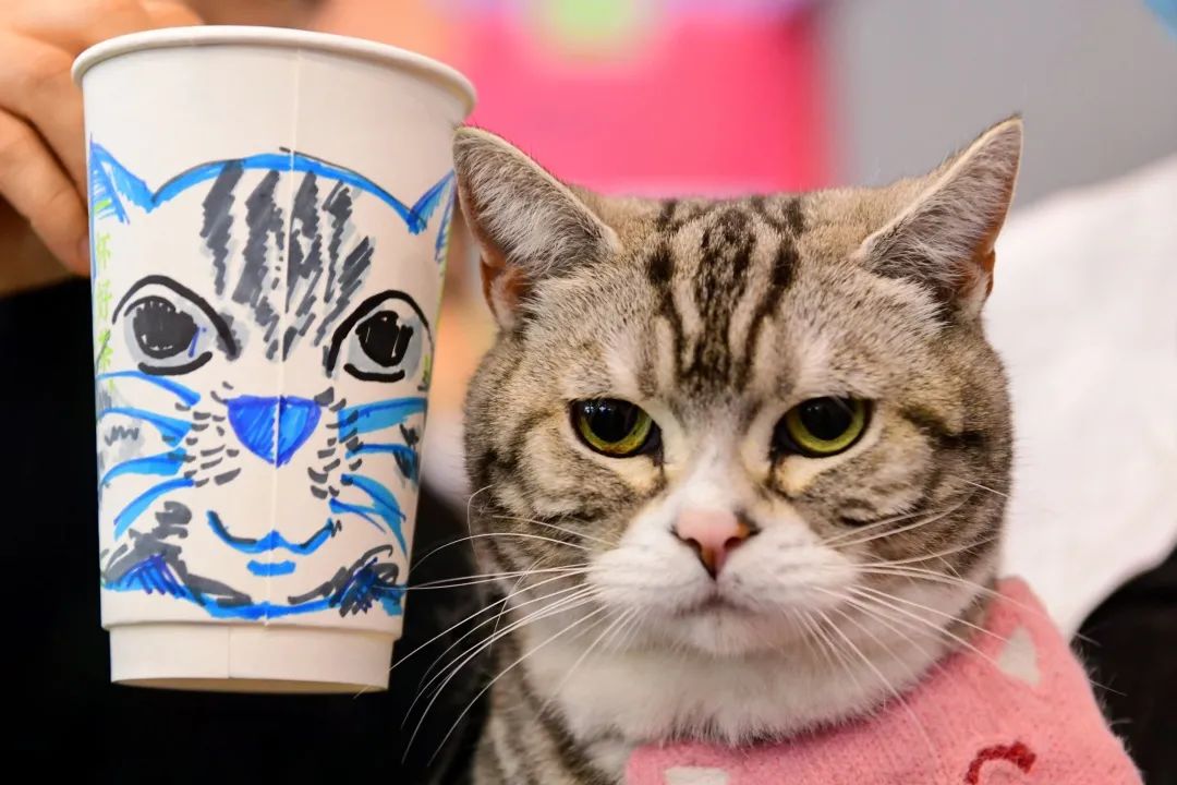 重庆宠博会2024年时间表,第二届天一重庆国际宠博会