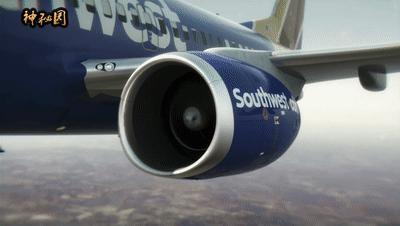 西南航空1380号班机空中浩劫模拟,飞机坠落事件人员伤亡情况