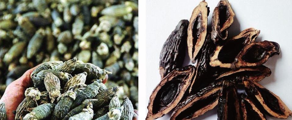 口腔吃槟榔吃坏了怎么修复,吃槟榔口腔内壁长了个疙瘩