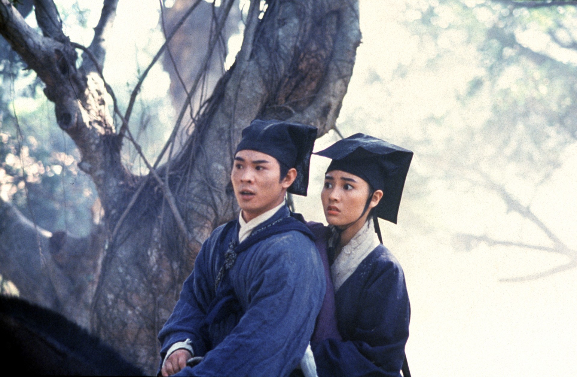 金城武对郑伊健的评价,金城武郑伊健最新消息