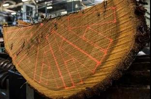 法桶美桶新桶旧桶大桶小桶，3分钟统统弄清楚