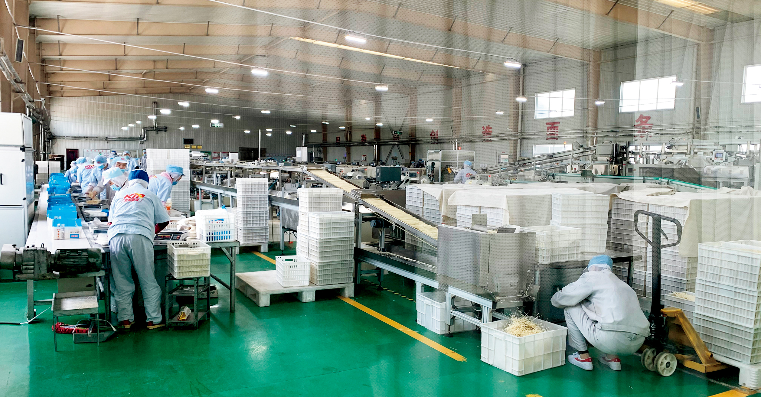 河南现代农业开发基地小麦,河南延津农业产业园