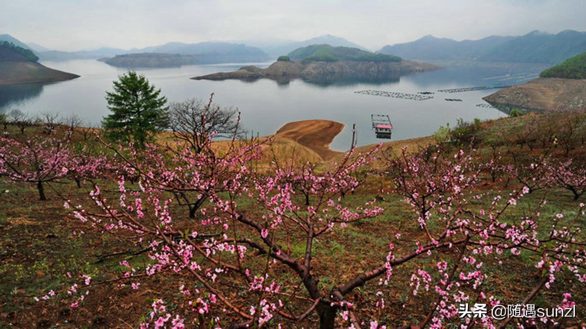 丹东宽甸桃花旅游攻略,丹东宽甸桃花岛旅游攻略自驾