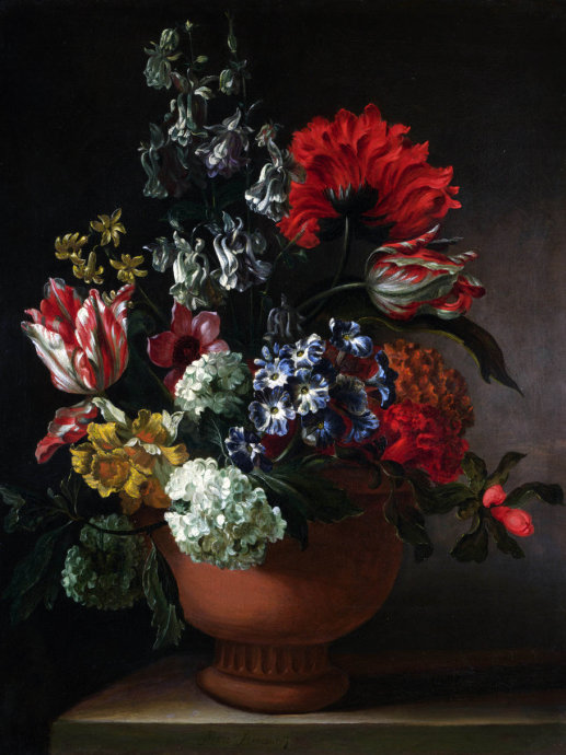 二十张惊艳的鲜花图片美图欣赏,好看的鲜花绝美图片