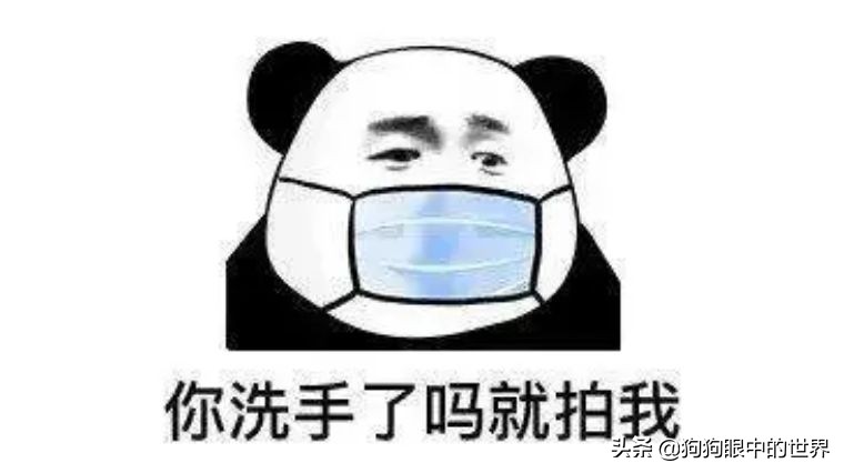 狗狗感冒好了没几天又感冒了,狗狗感冒好了之后还是没精神