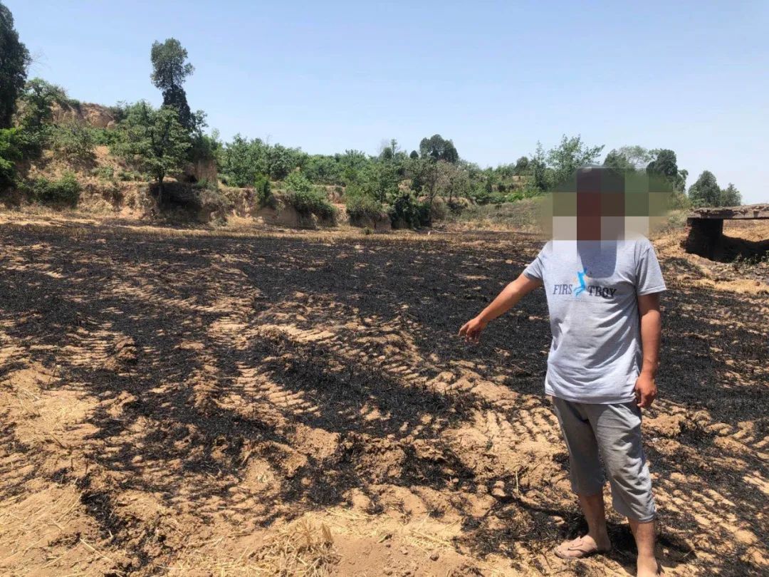 金盾1号行动灵宝公安局,灵宝市公安金盾一号活动