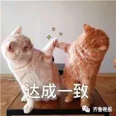 灰绿还是粉白？因为这只鞋子的颜色，网友看法又不统一了，你看到的是…？