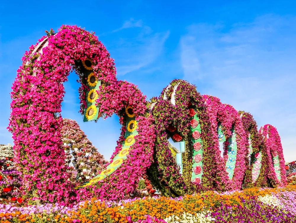 7月1日免签入境的游客,入境中国旅游免签最新规定