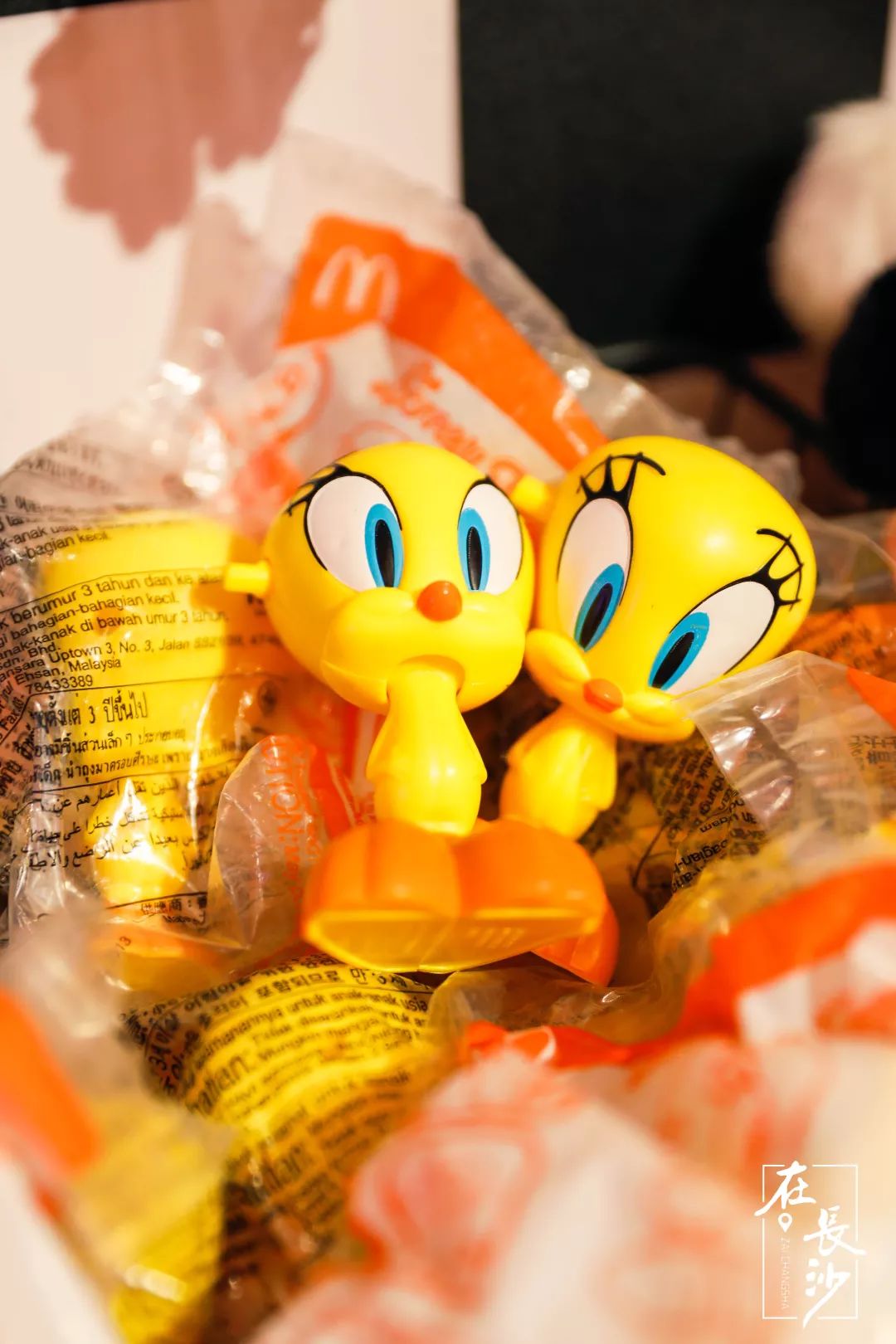 长沙特有的玩具店,长沙卖稀奇古怪的东西的地方