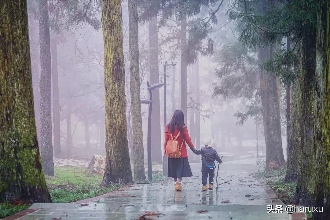 南方也能下雪吗,南方也能见到雪