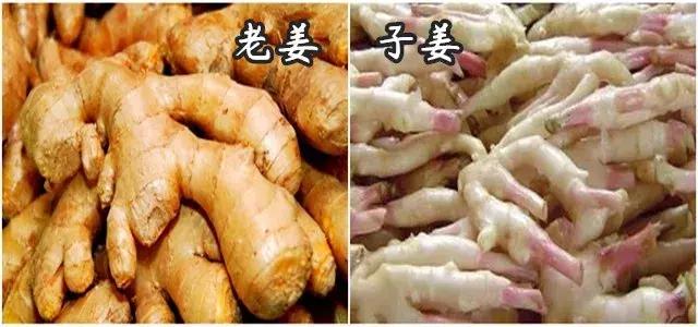 十大各地黑暗料理美食,外地人认为的河南黑暗料理