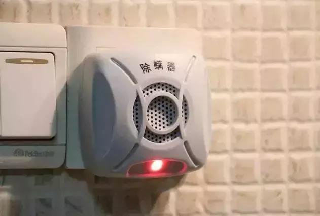 床上有螨虫放什么东西能除螨,床上螨虫和细菌最怕什么