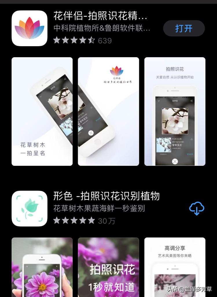 遇到不认识的植物怎么办,遇到不认识的物种你会怎么做