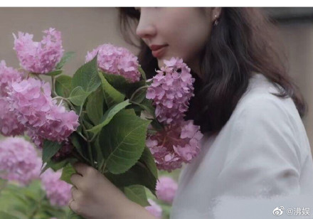 总裁夫人紫色绣球花透露花语，张大奕什么都能打版，唯独香水不行