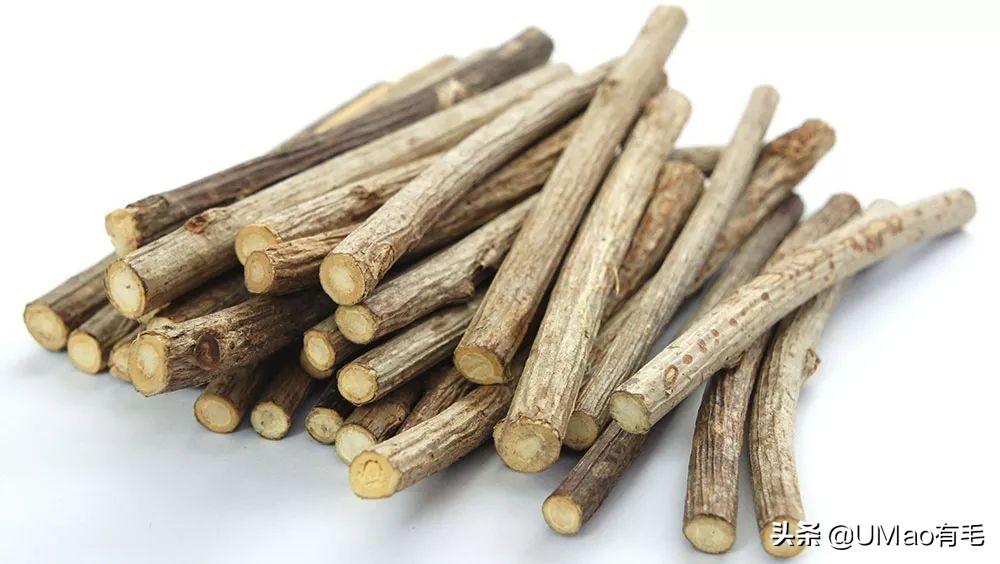 我们败了两款新型“猫*品毒**”孝敬主子，你猜哪种比较受猫欢迎？