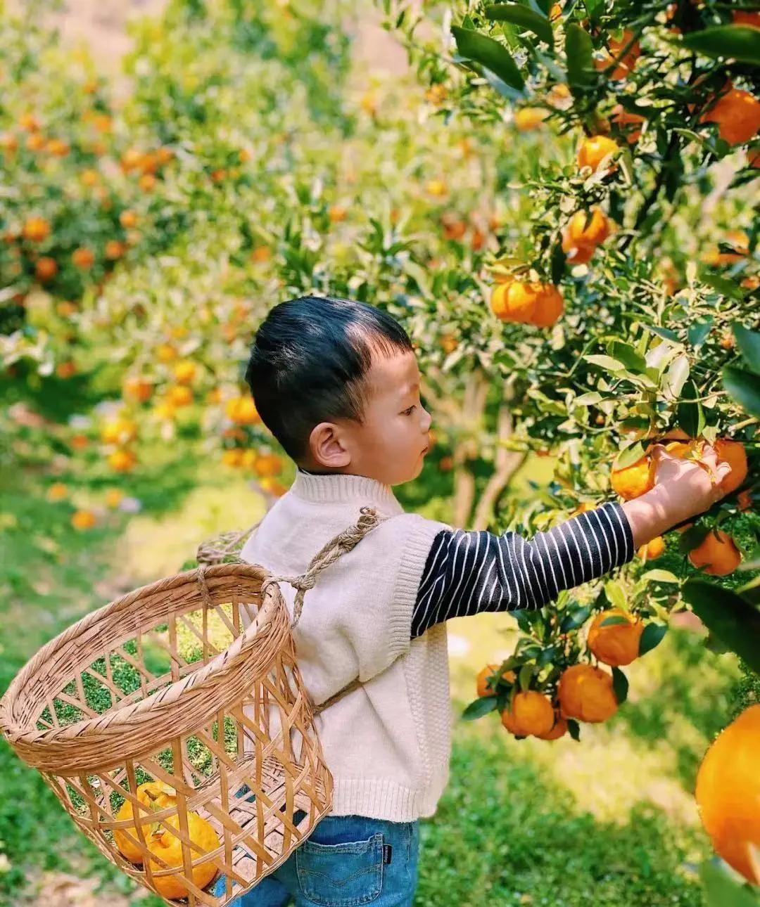 昆明亲子游自驾游攻略推荐路线,昆明周末亲子游十大好去处