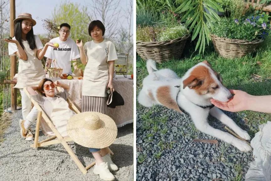 最会说情话的人全集,最会说情话的人