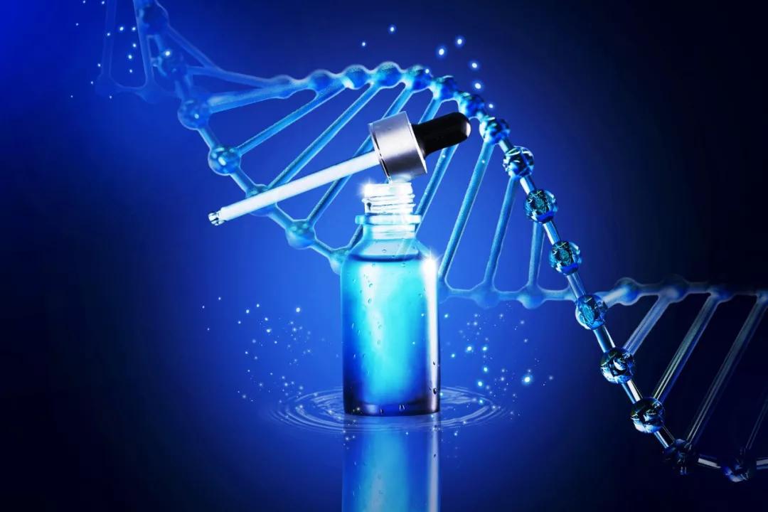 甲硝唑胶囊能治玫瑰痤疮吗,玫芦消痤膏和甲硝唑凝胶区别