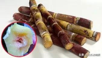 比毒蛇还毒100倍的食物,比毒蛇还毒的它千万别吃