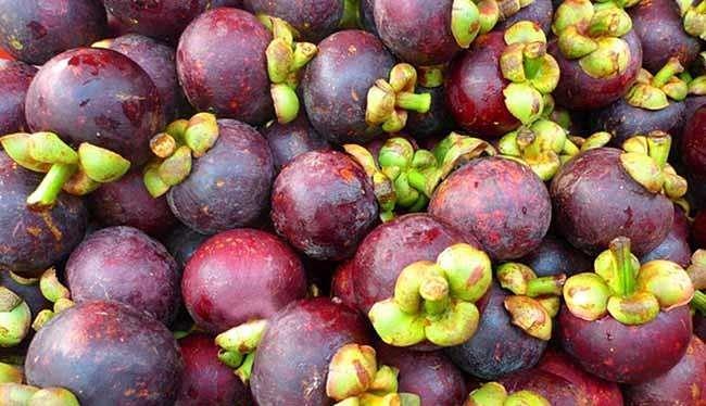 买山竹怎么去挑,买山竹怎么挑选技巧图解