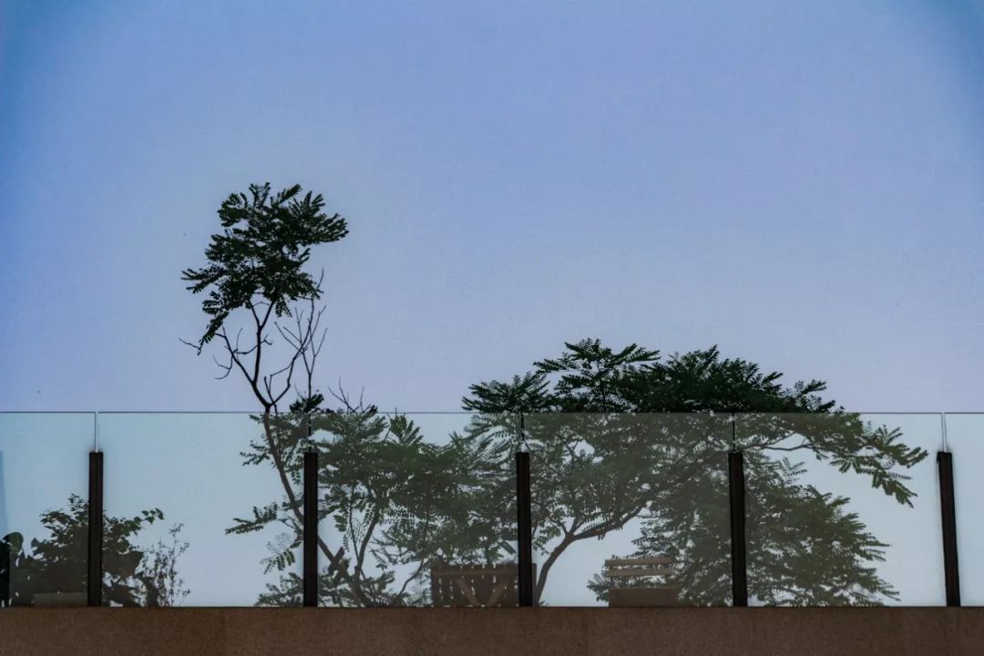 深圳宝安喝茶的世外桃源,宝安西乡世外桃源