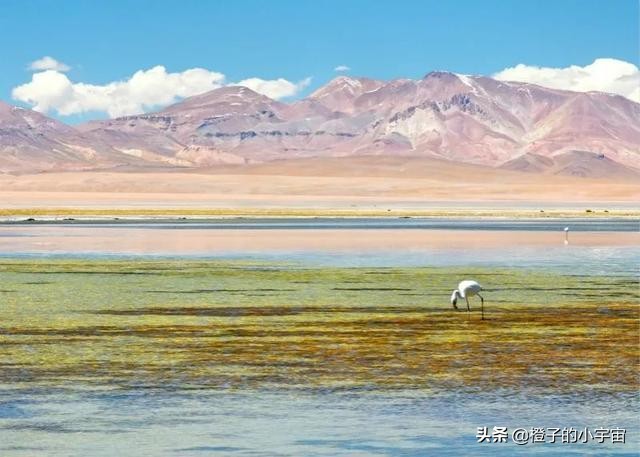 智利沙漠五指山图片,智利五指山的真实生活